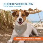 Chladicí šátek pro psy, béžový, S, 45 x 20 cm – Coolpets Cooling Bandana - Obrázek 2
