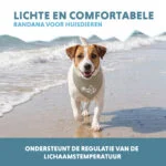 Chladicí šátek pro psy, béžový, S, 45 x 20 cm – Coolpets Cooling Bandana - Obrázek 4