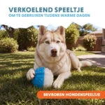 Chladicí míček pro psy, 9 × 9 × 6,9 cm – Coolpets Ice Ball - Obrázek 5