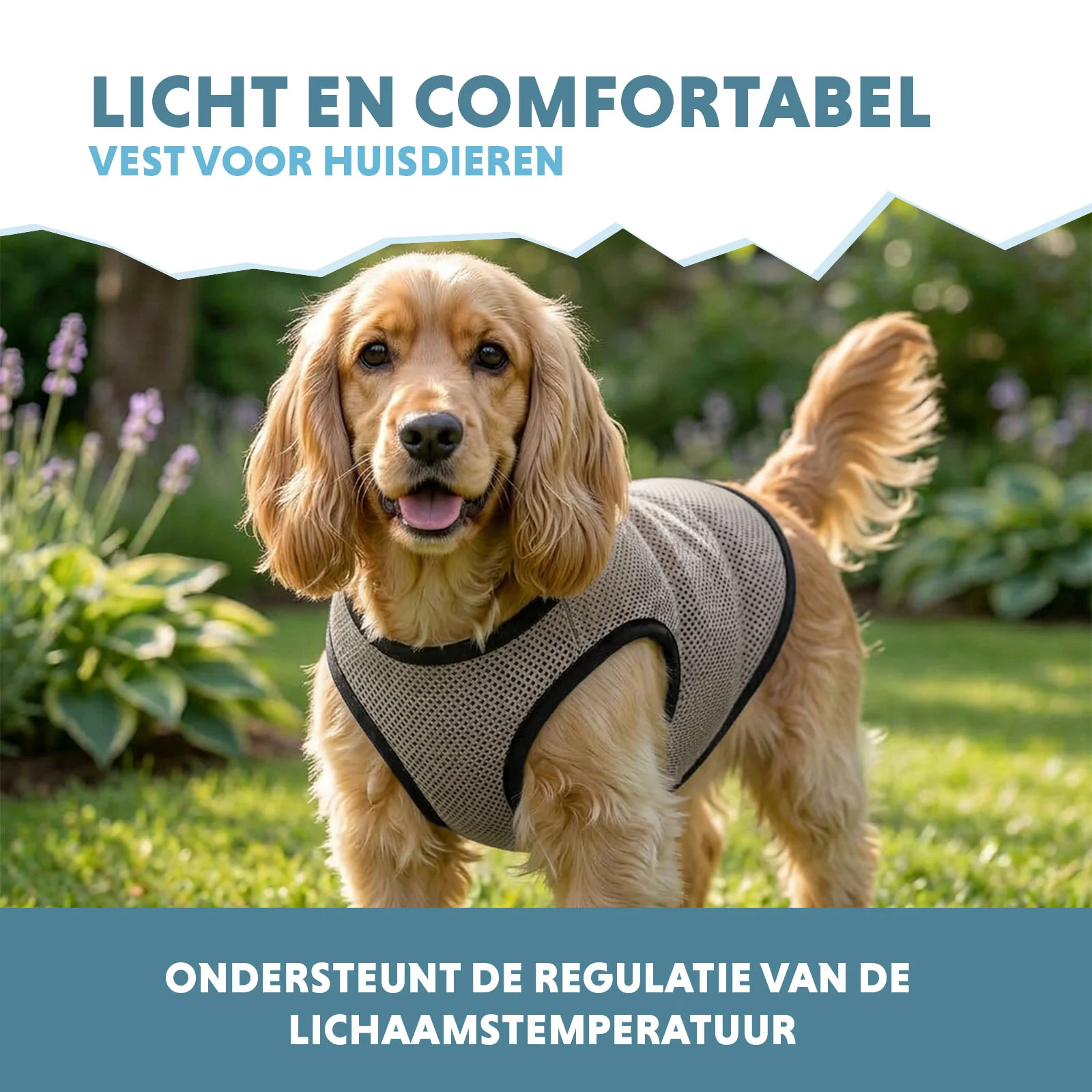 Chladicí vesta pro psy, vodou aktivovaná, M, délka zad 30 cm – Coolpets Cooling Vest - Obrázek 4