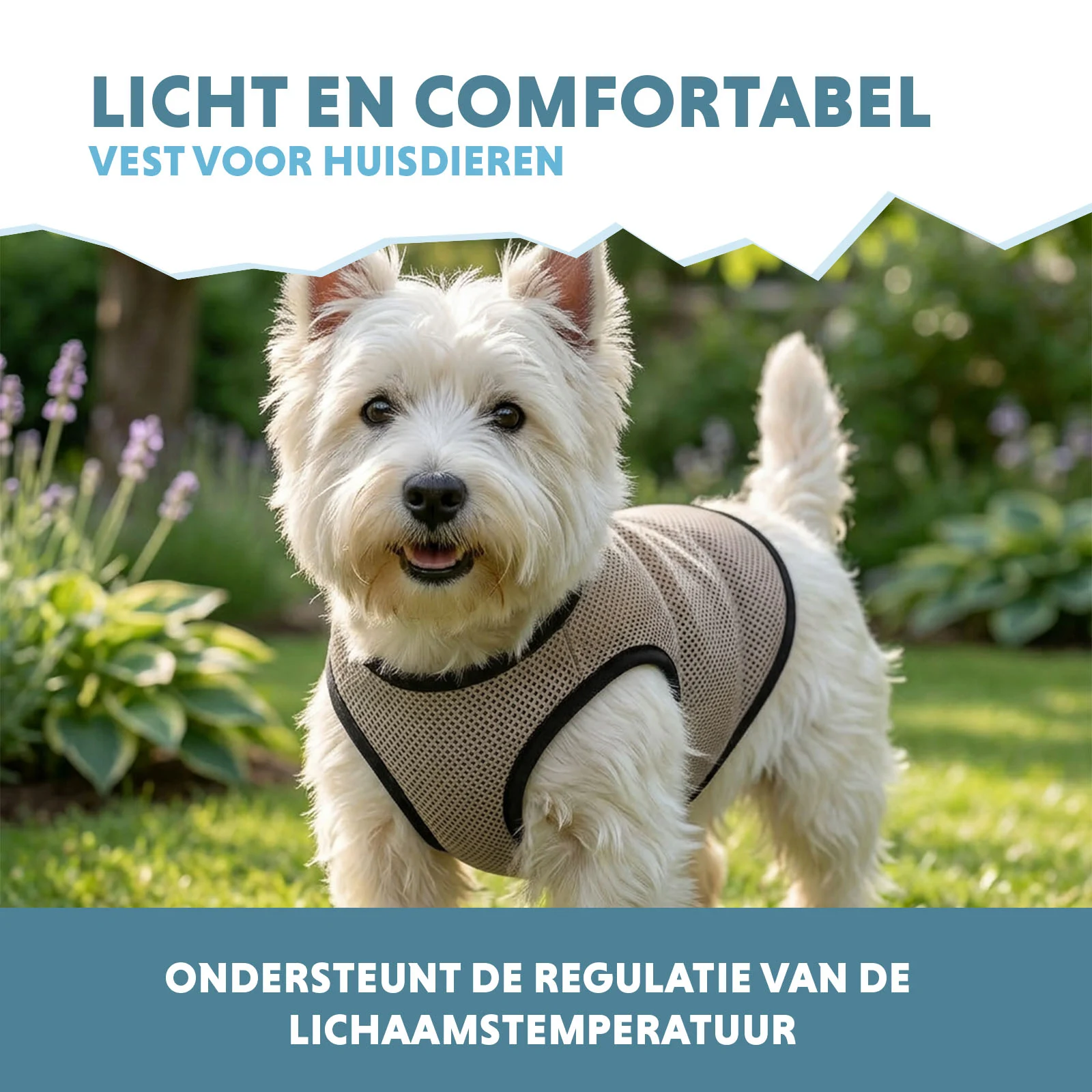 Chladicí vesta pro psy, aktivovaná vodou, S, délka zad 25 cm – Coolpets Cooling Vest - Obrázek 4