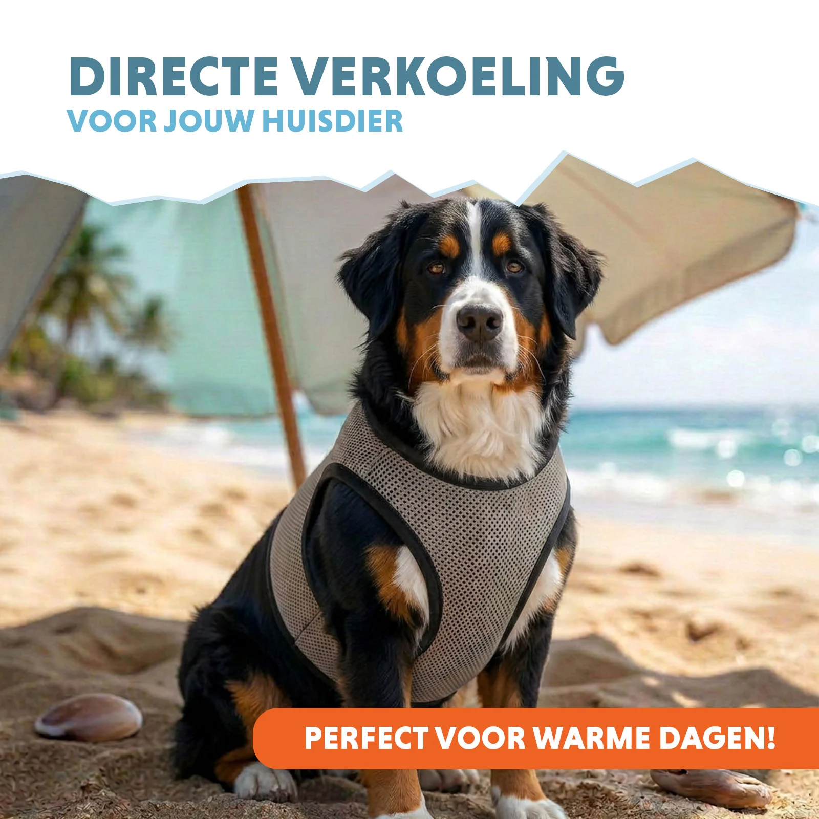 Chladicí vesta pro psy, aktivovaná vodou, XL, délka zad 40 cm – Coolpets Cooling Vest - Obrázek 2