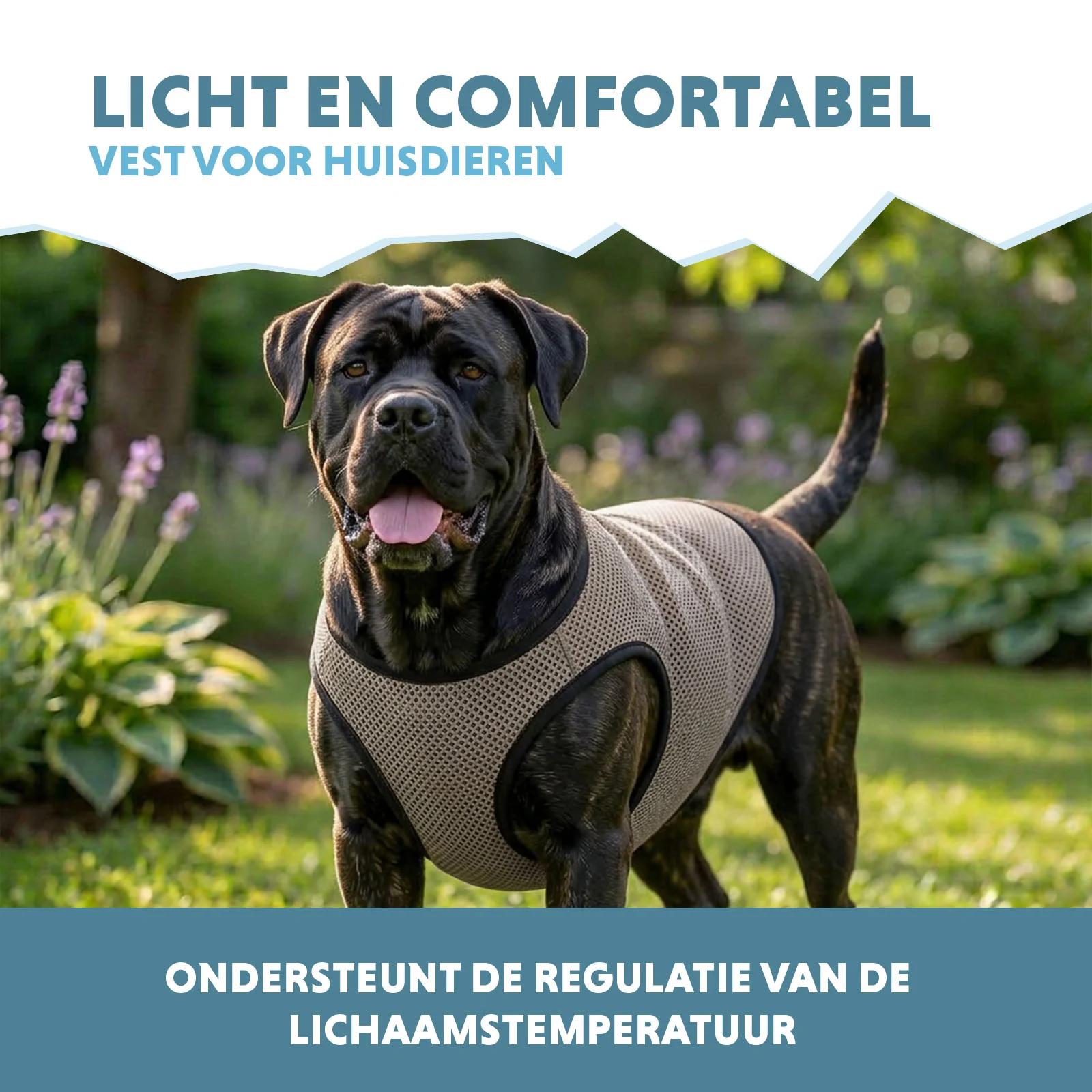 Chladicí vesta pro psy, aktivovaná vodou, XL, délka zad 40 cm – Coolpets Cooling Vest - Obrázek 4