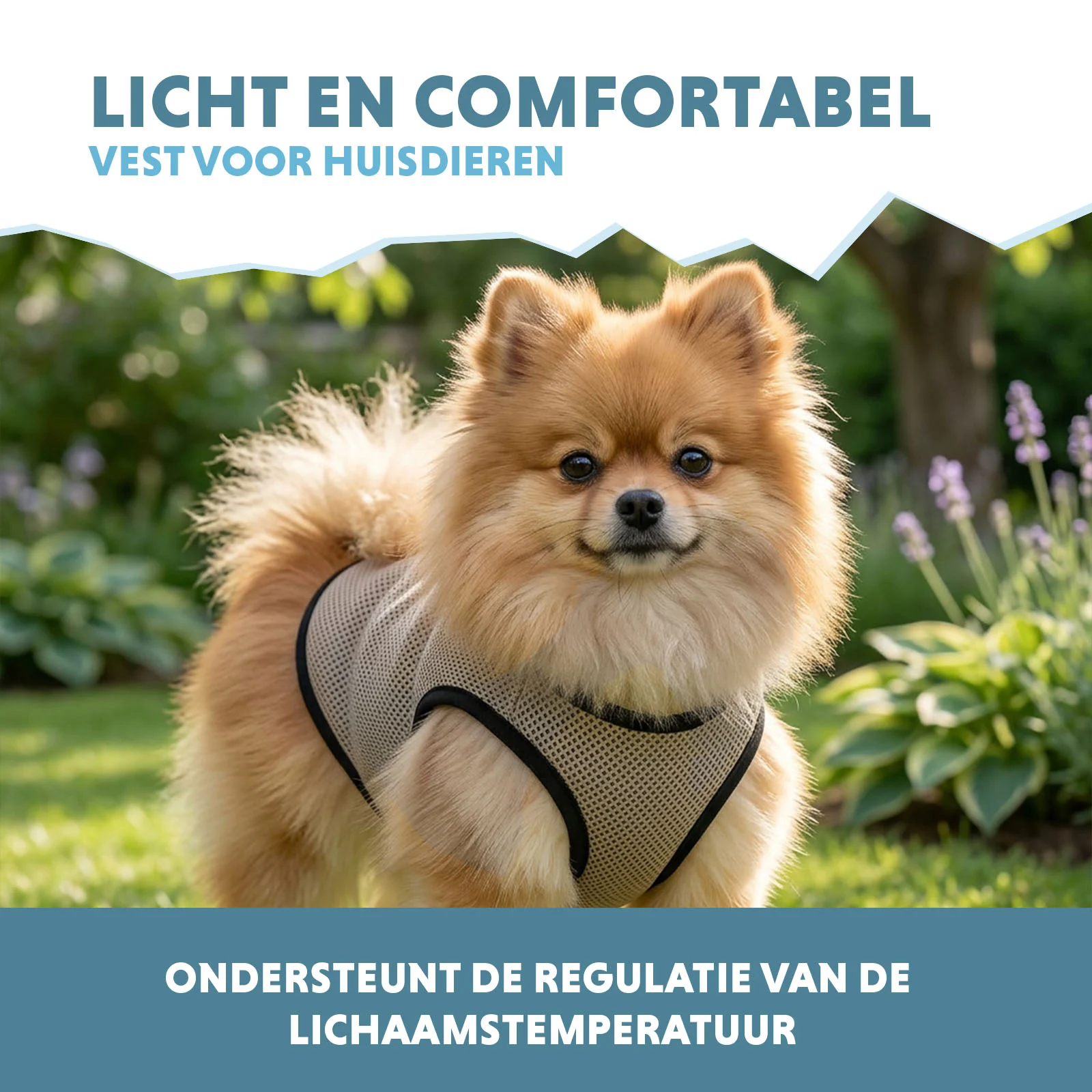Chladicí vesta pro psy, aktivace vodou, XS, délka zad 20 cm – Coolpets Cooling Vest - Obrázek 4