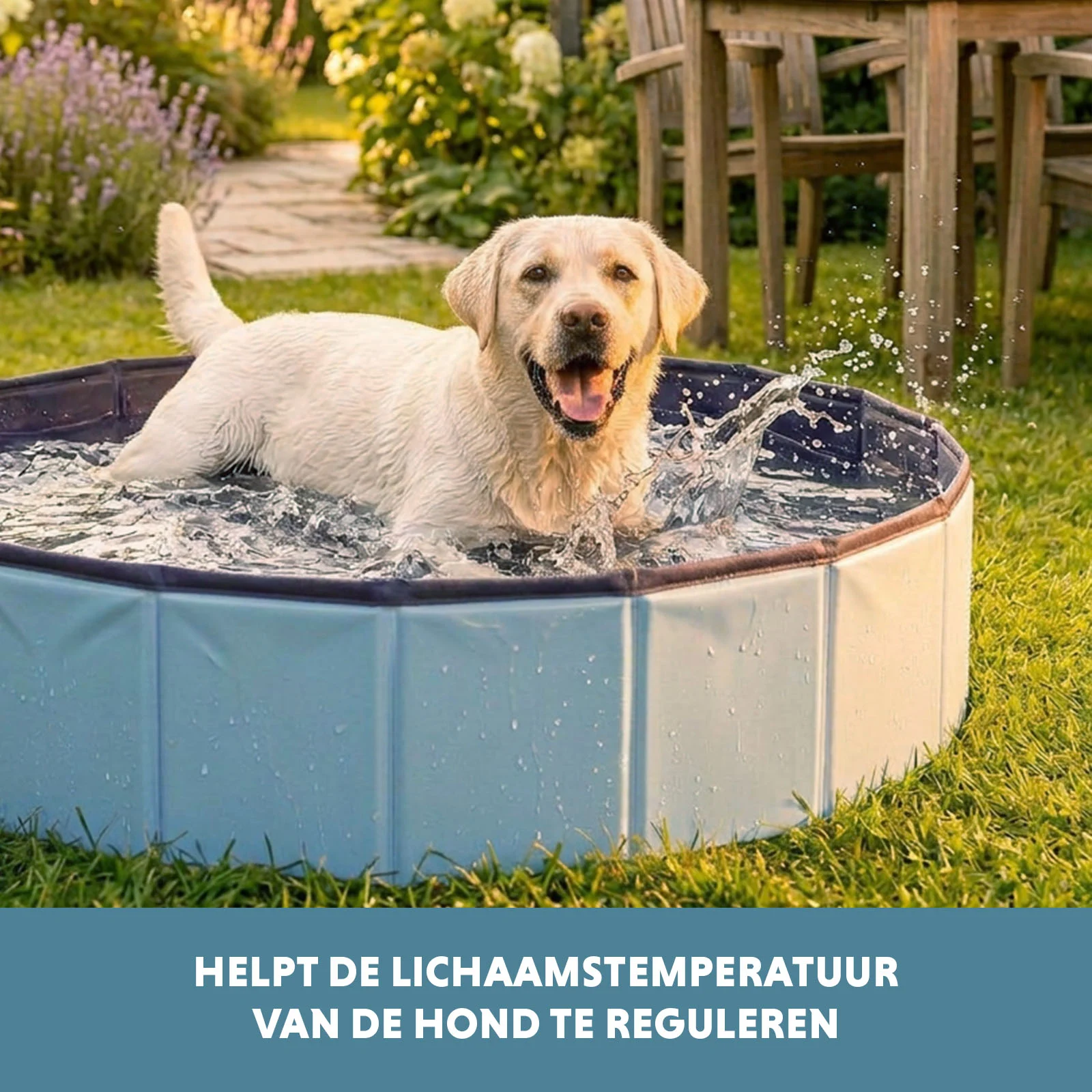 Skládací bazének pro psy s protiskluzovým dnem, ø 100 x 30 cm – Coolpets Splash Dog Pool - Obrázek 6