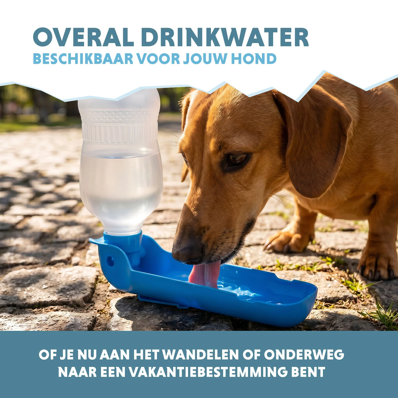 Cestovní láhev na vodu pro psy, 300 ml – Coolpets Fresh 2GO - Obrázek 4