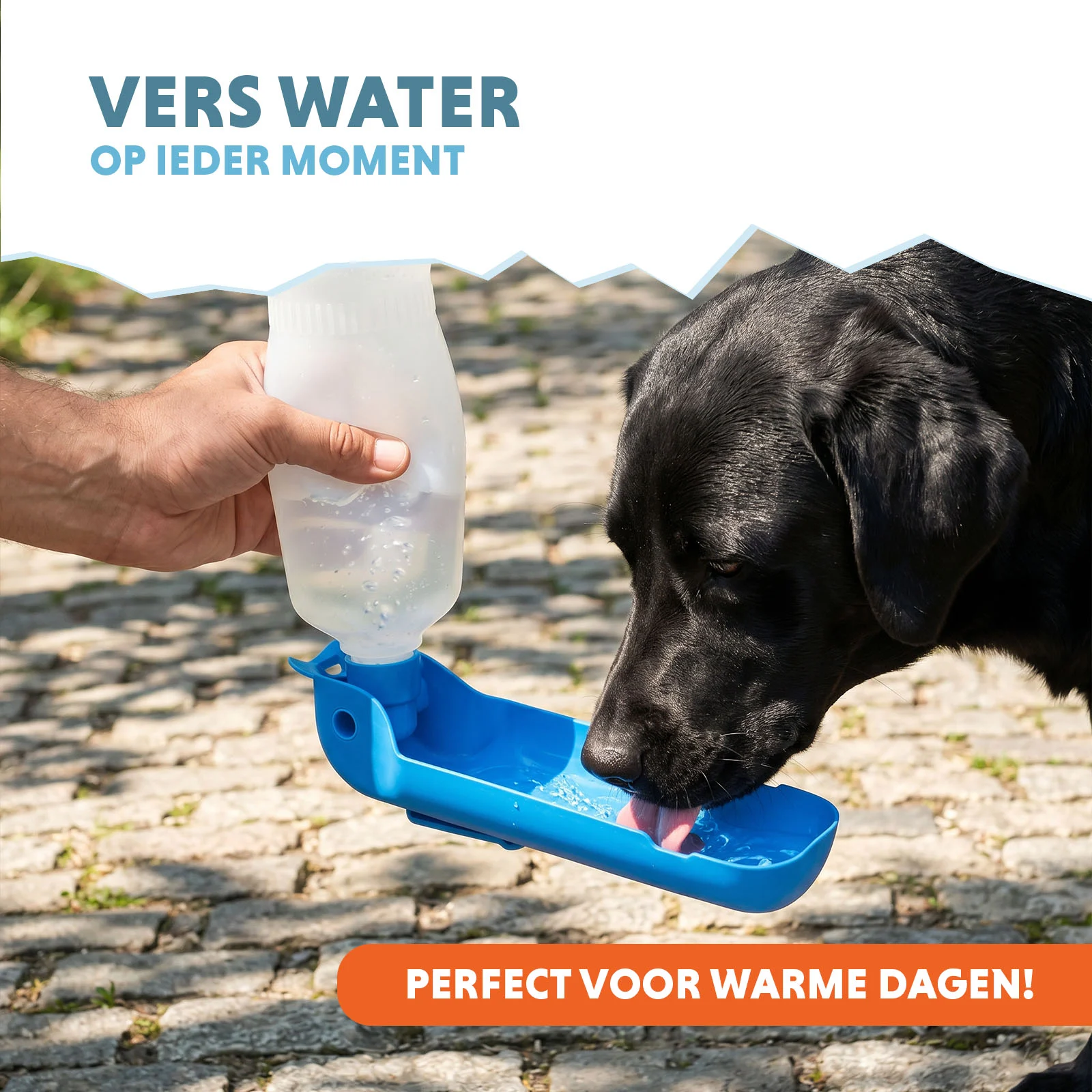 Cestovní láhev na vodu pro psy, 500 ml – Coolpets Fresh 2GO - Obrázek 2
