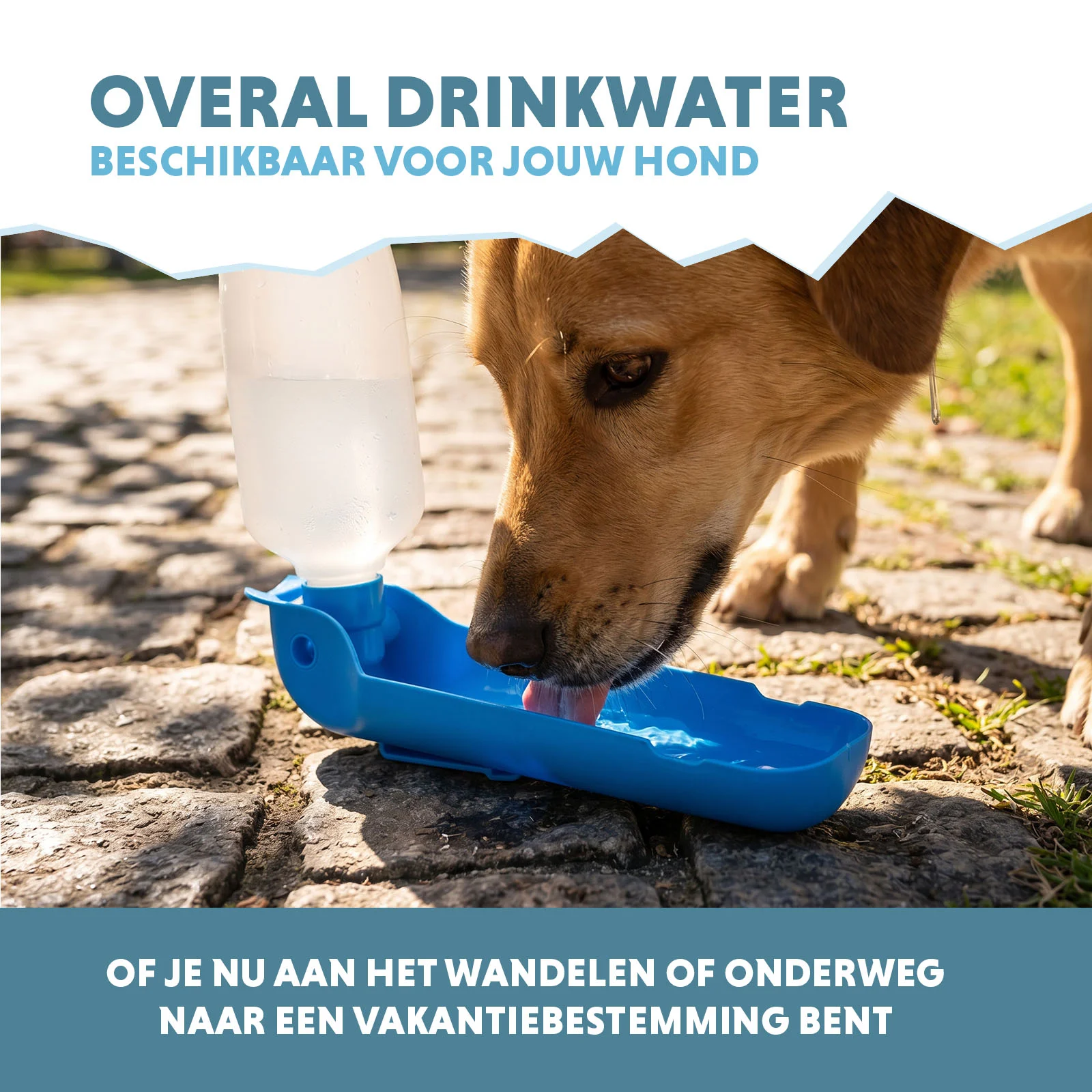Cestovní láhev na vodu pro psy, 500 ml – Coolpets Fresh 2GO - Obrázek 4