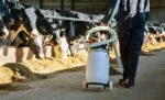 Vozík pro drenčovací pumpu s držáky na nádobu a hadici, skládací, 100 cm – Excellent Cow Drencher - Obrázek 2