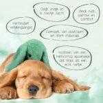 Plyšový králíček pro psy s tlukotem srdce a ohřívacím sáčkem, zelený, 30 x 20 cm – Cozy Dog Bunny - Obrázek 3
