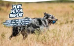 Gumový psí míček s pískátkem L, ø 7 cm, 1 kus – Chuckit! Ultra Squeaker Ball - Obrázek 6