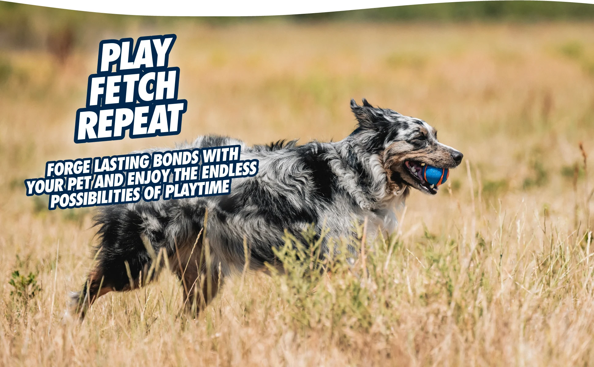 Gumový psí míček s pískátkem L, ø 7 cm, 1 kus – Chuckit! Ultra Squeaker Ball - Obrázek 6