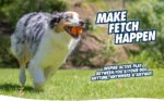 Gumový míček pro psy, Ø 5 cm, 2 ks – Chuckit! Fetch Ball S - Obrázek 3