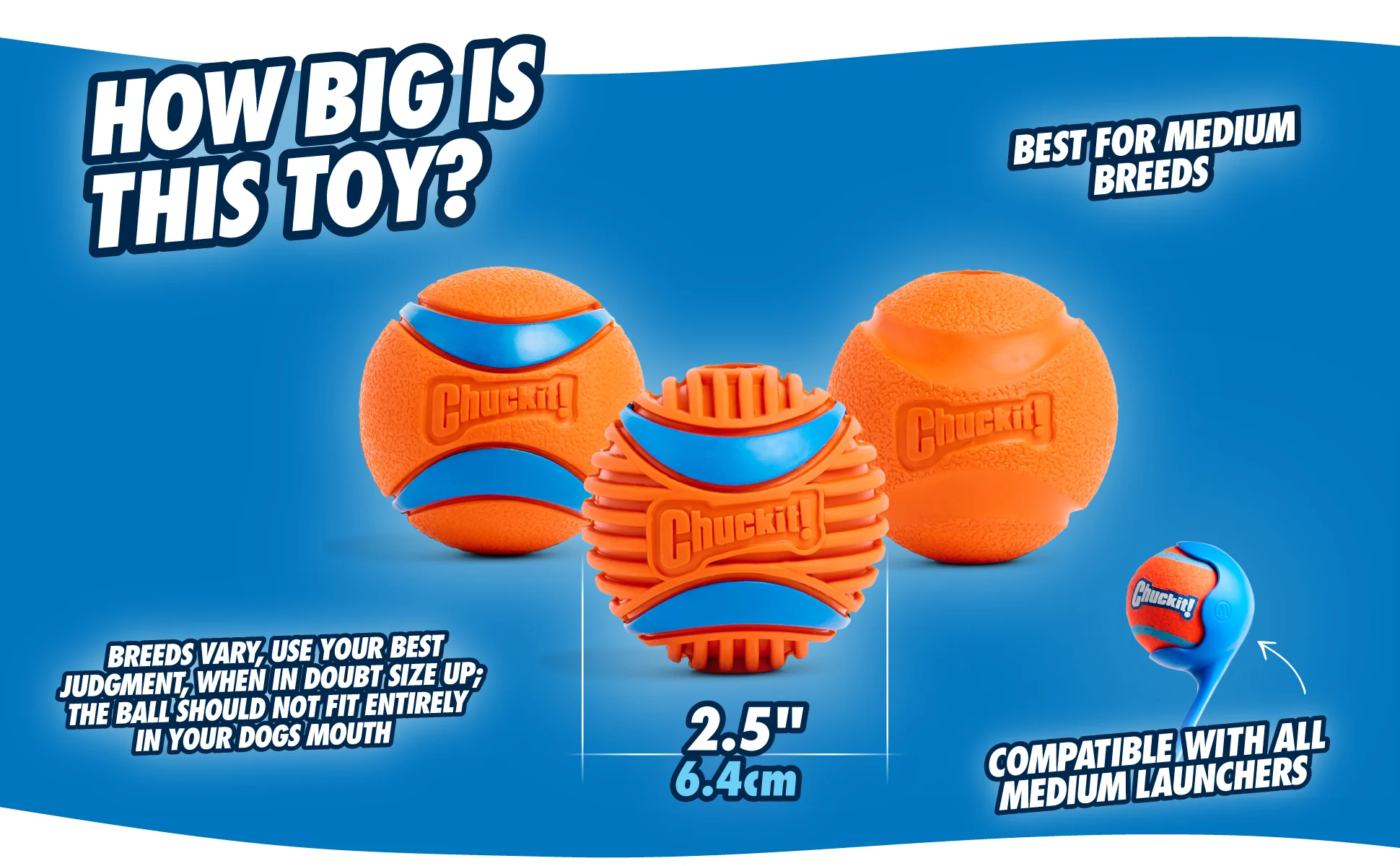 Míček pro psy z gumy, Ø 6 cm – Chuckit! Fetch Ball M - Obrázek 4