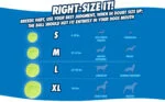 Psí míčky se světlem a zvukem, 3 ks, Ø 5 cm – Chuckit! Fetch Medley S - Obrázek 3