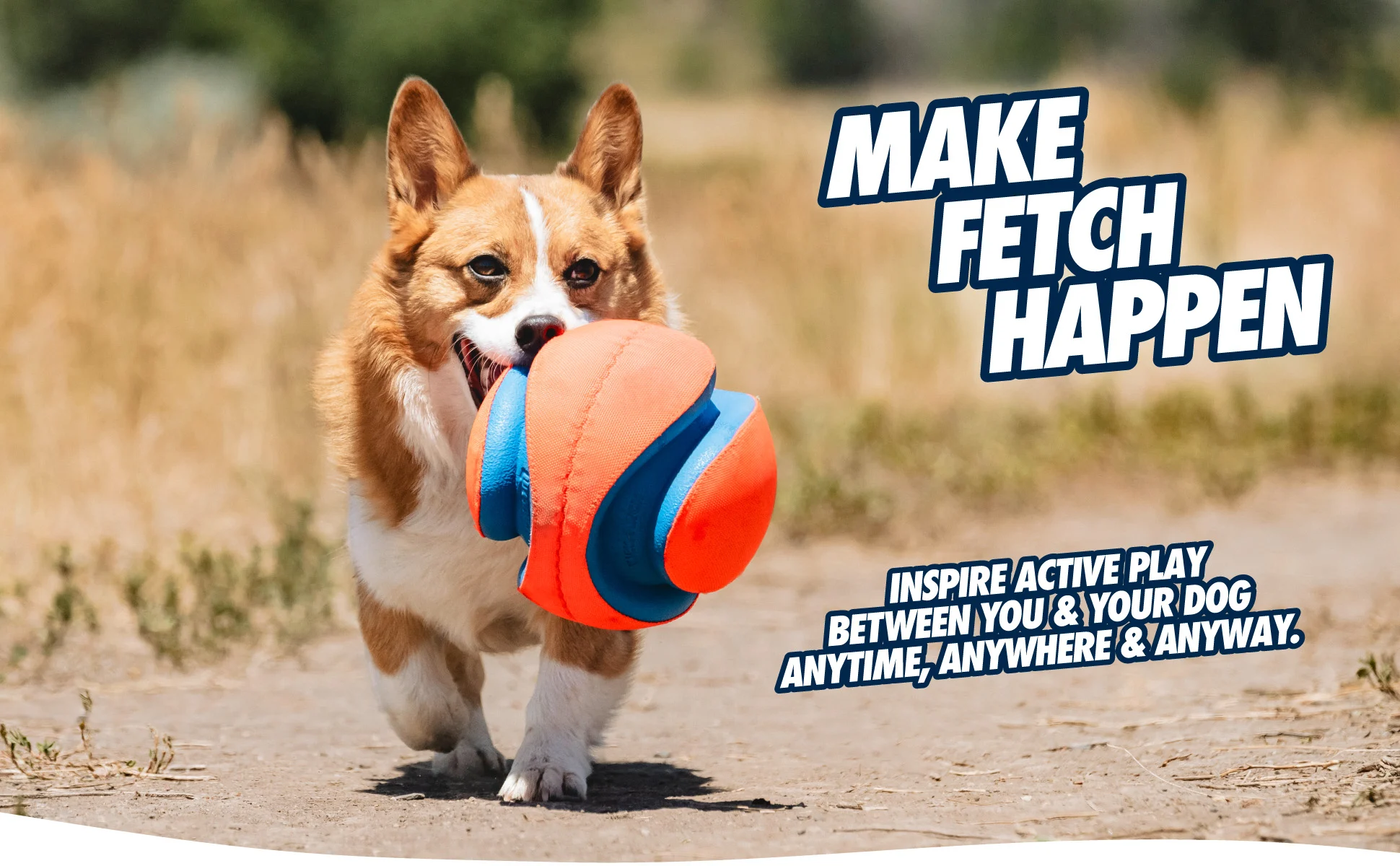 Fotbalový míč pro psy s gumovými zářezy, Ø 14 cm – Chuckit! Kick Fetch Dog S - Obrázek 6