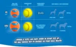 Gumový míček pro psy XL, ø 9 cm – Chuckit! Ultra Ball - Obrázek 6