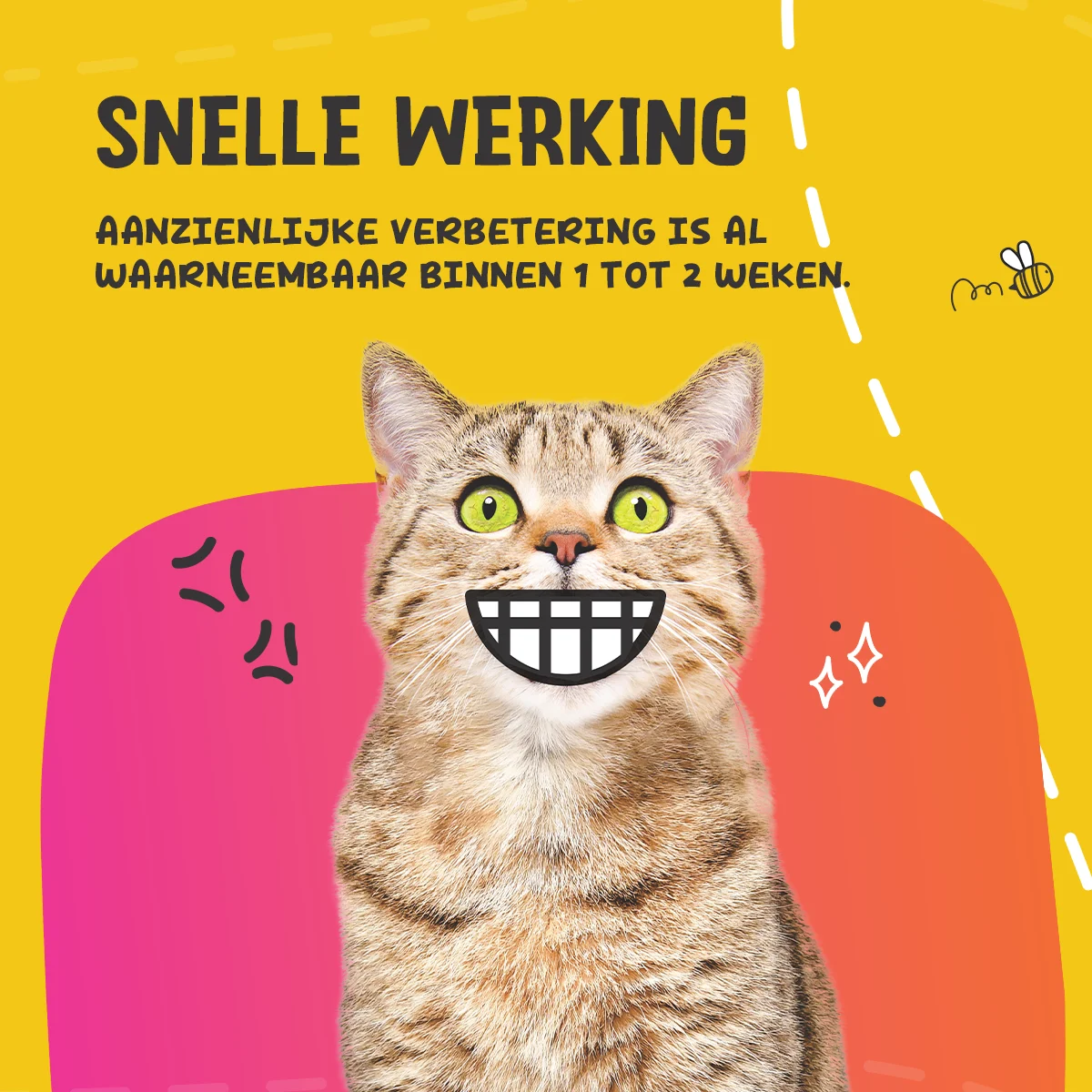 Prášek na podporu péče o chrup pro psy a kočky, 140 g – Excellent Pets Dental Oral Care - Obrázek 5