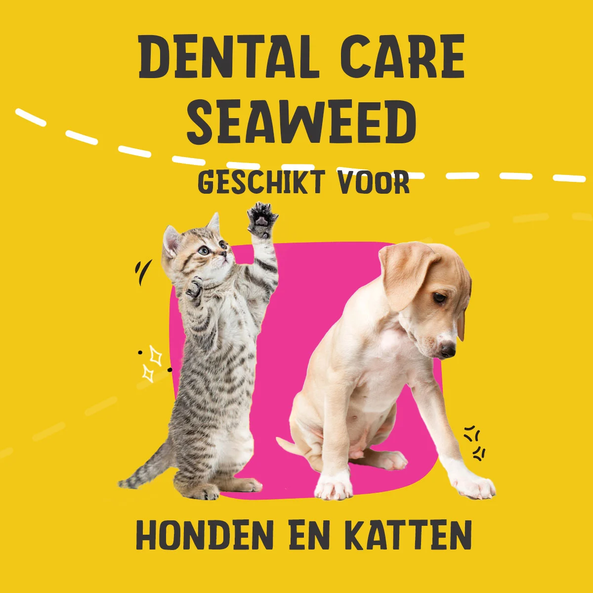 Doplněk stravy na podporu péče o chrup pro psy a kočky, 150 g – Excellent Pets Dental Care Seaweed - Obrázek 2