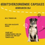 Dentální kapsle pro psy, 90 kusů – Excellent Pets Dental Oral Care Capsules - Obrázek 4