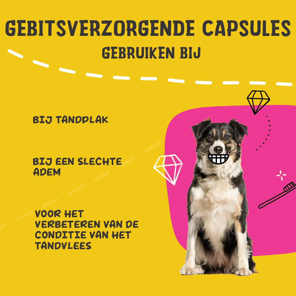 Dentální kapsle pro psy, 90 kusů – Excellent Pets Dental Oral Care Capsules - Obrázek 4