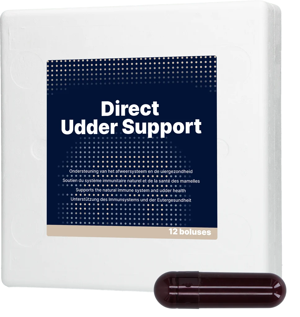 Bolus pro dojnice na podporu zdraví vemene s černým česnekem, 12 x 60 g – Direct Bolus Udder Support - Obrázek 1
