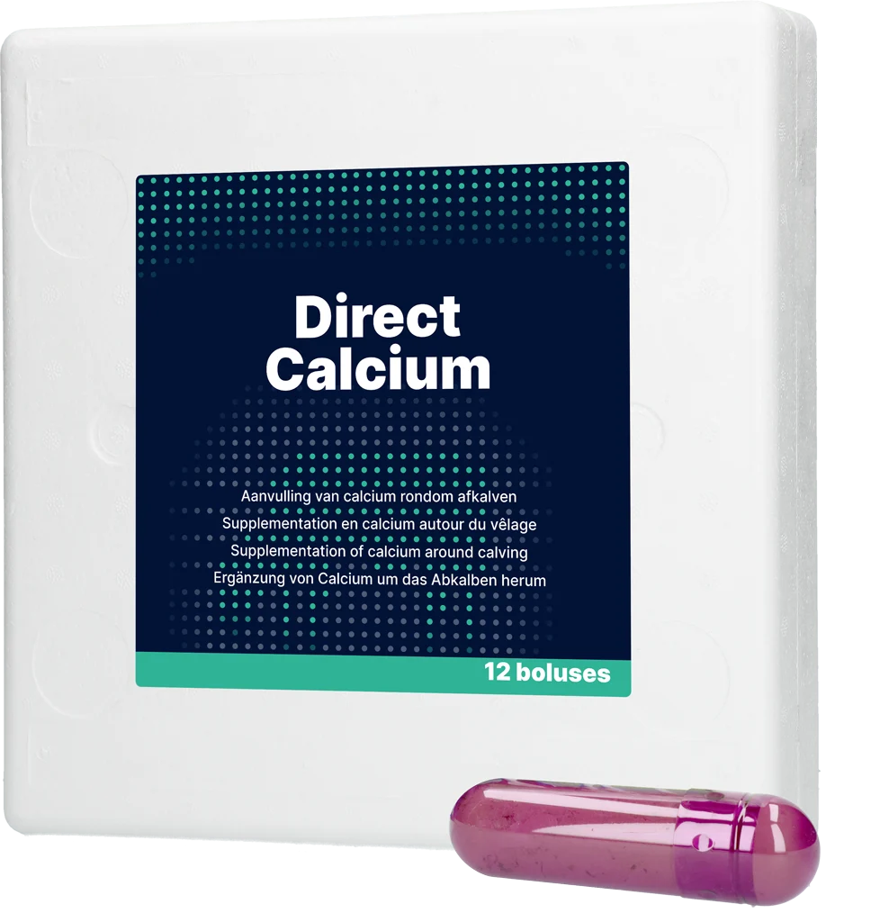Vápníkový bolus pro dojnice, 12 x 94 g – Direct Bolus Calcium - Obrázek 1