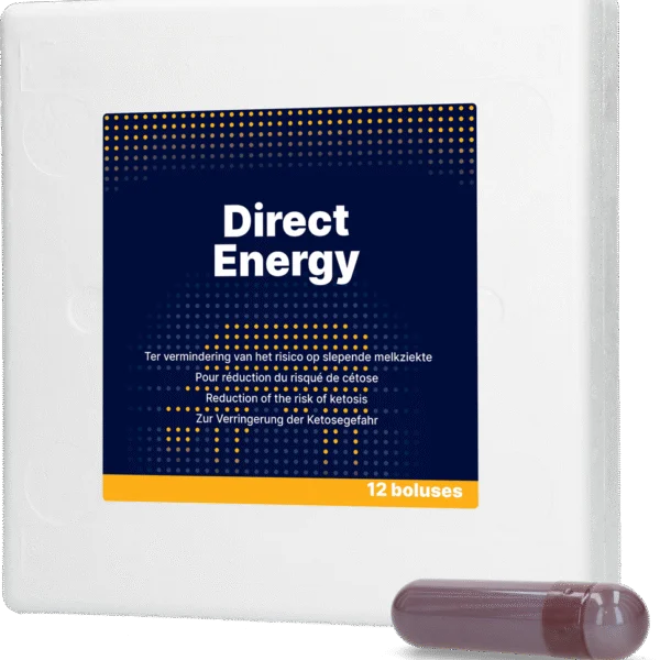 Energetický bolus pro dojnice s vitamíny a minerály, 12 x 67 g – Direct Bolus Energy