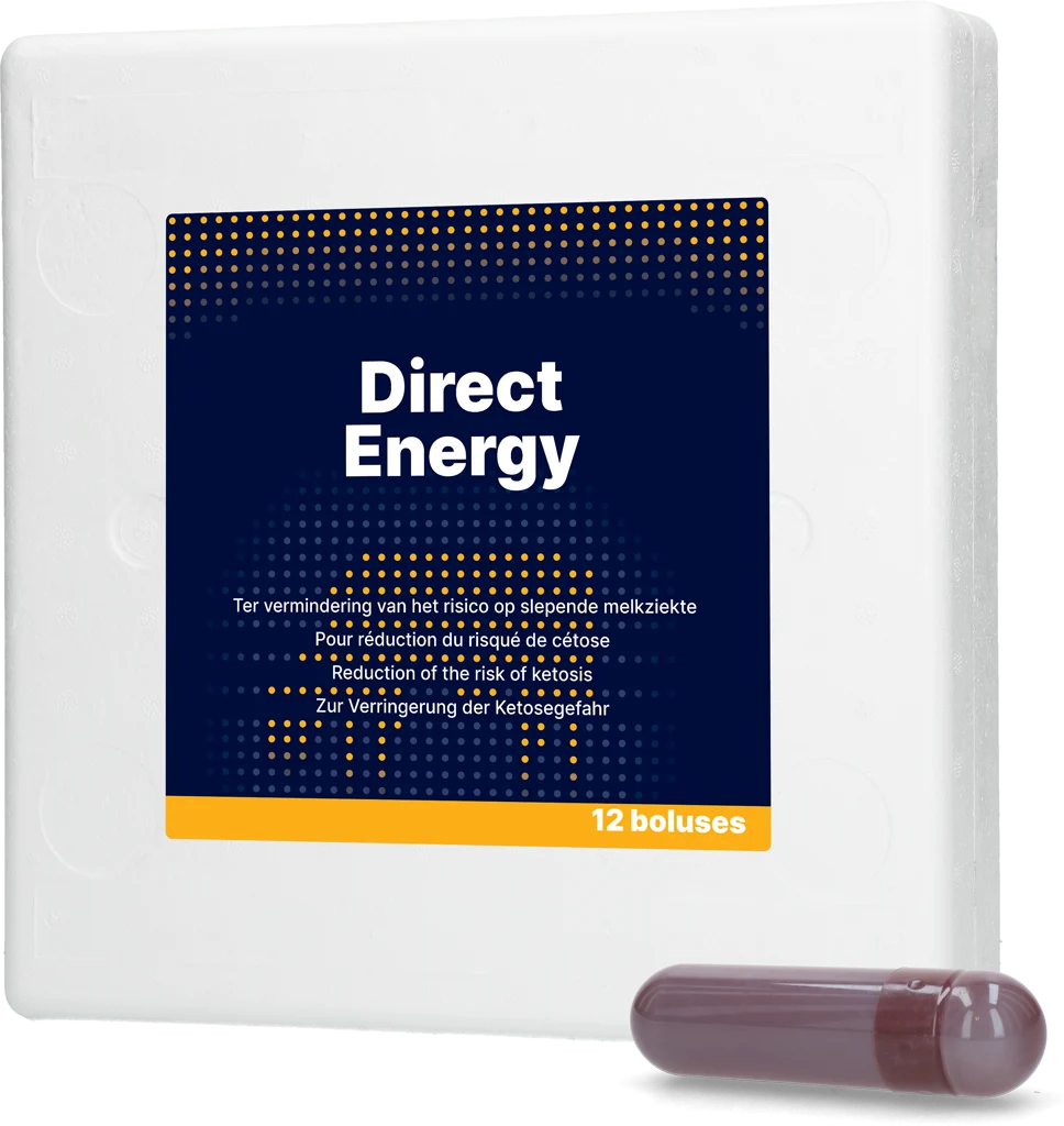 Energetický bolus pro dojnice s vitamíny a minerály, 12 x 67 g – Direct Bolus Energy - Obrázek 1