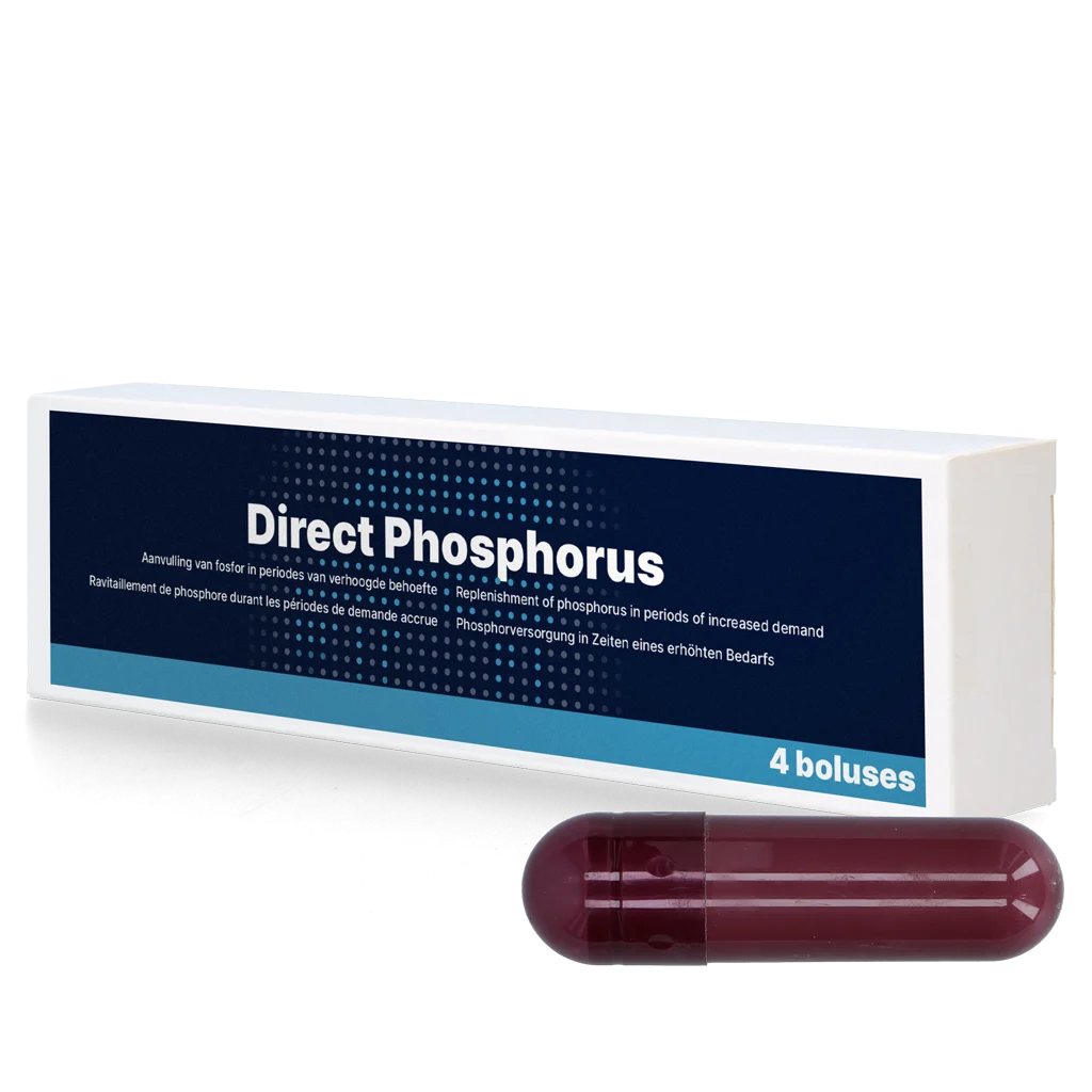 Fosforový bolus pro krávy, 4 x 123 g – Direct Phosphorus - Obrázek 1