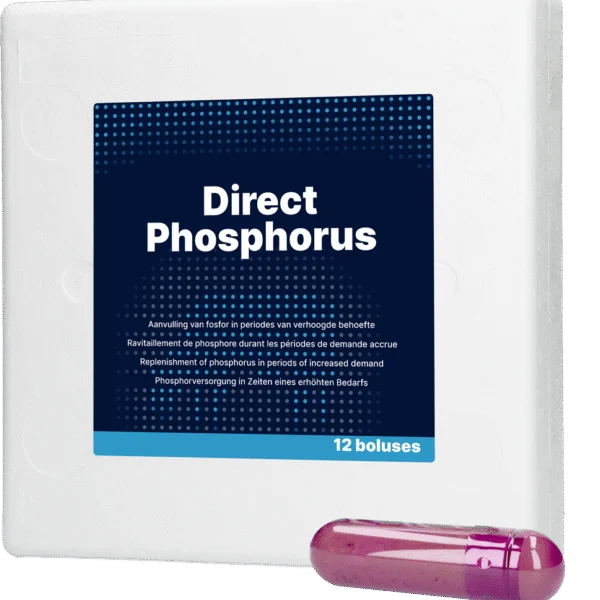 Fosforový bolus pro krávy, 12 x 123 g – Direct Bolus Phosphorus