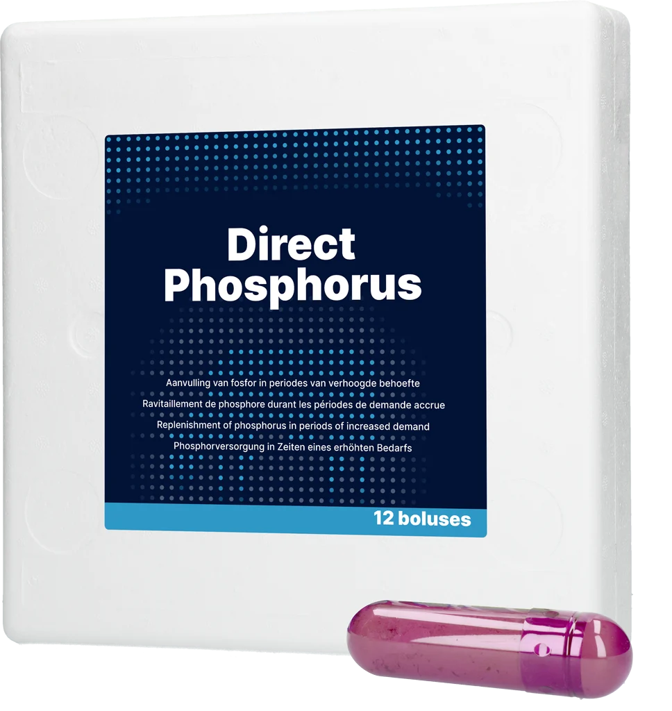DIRE017.png Fosforový bolus pro krávy, 12 x 123 g – Direct Bolus Phosphorus - Obrázek 1