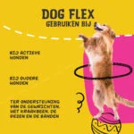 Tekutý doplněk na podporu kloubů pro psy, 250 ml – Excellent Pets Dog Flex - Obrázek 6