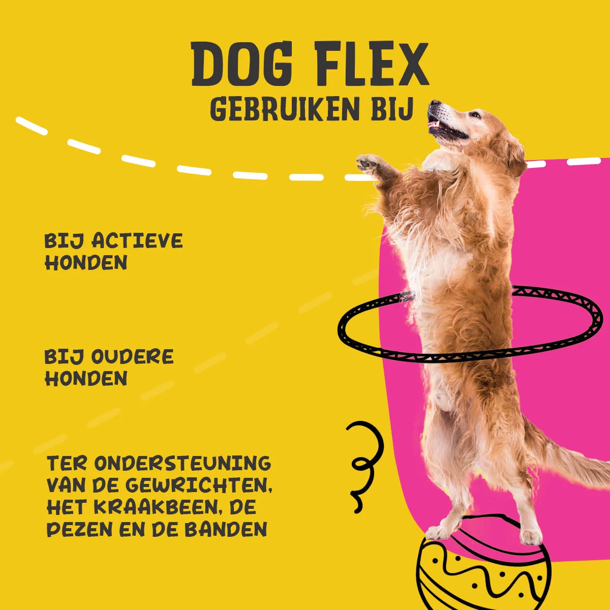 Tekutý doplněk na podporu kloubů pro psy, 250 ml – Excellent Pets Dog Flex - Obrázek 6