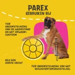 Doplněk pro psy s prebiotiky ve formě granulí, 90 g – Excellent Pets Dog Parex - Obrázek 6