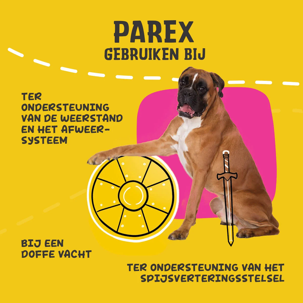 Doplněk pro psy s prebiotiky ve formě granulí, 90 g – Excellent Pets Dog Parex - Obrázek 6
