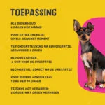 Tekutý vitaminový doplněk pro psy, 50 ml – Excellent Pets Vital Total - Obrázek 3