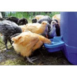 Plastová napájecí miska pro drůbež 0,5 l