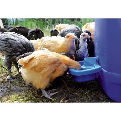 Plastová napájecí miska pro drůbež 0,5 l