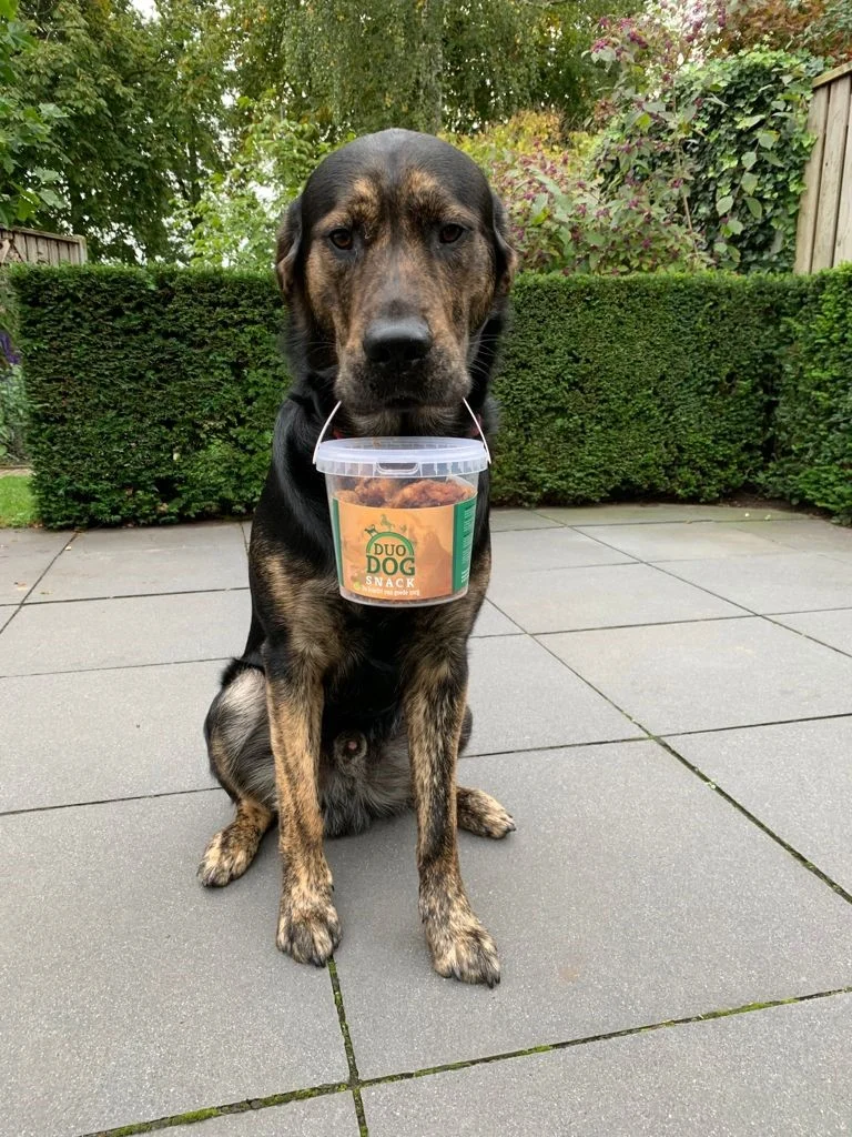 Pamlsek pro psy ze 100% vyškvařeného koňského tuku, cca 350 g – Duo Dog Snack - Obrázek 2