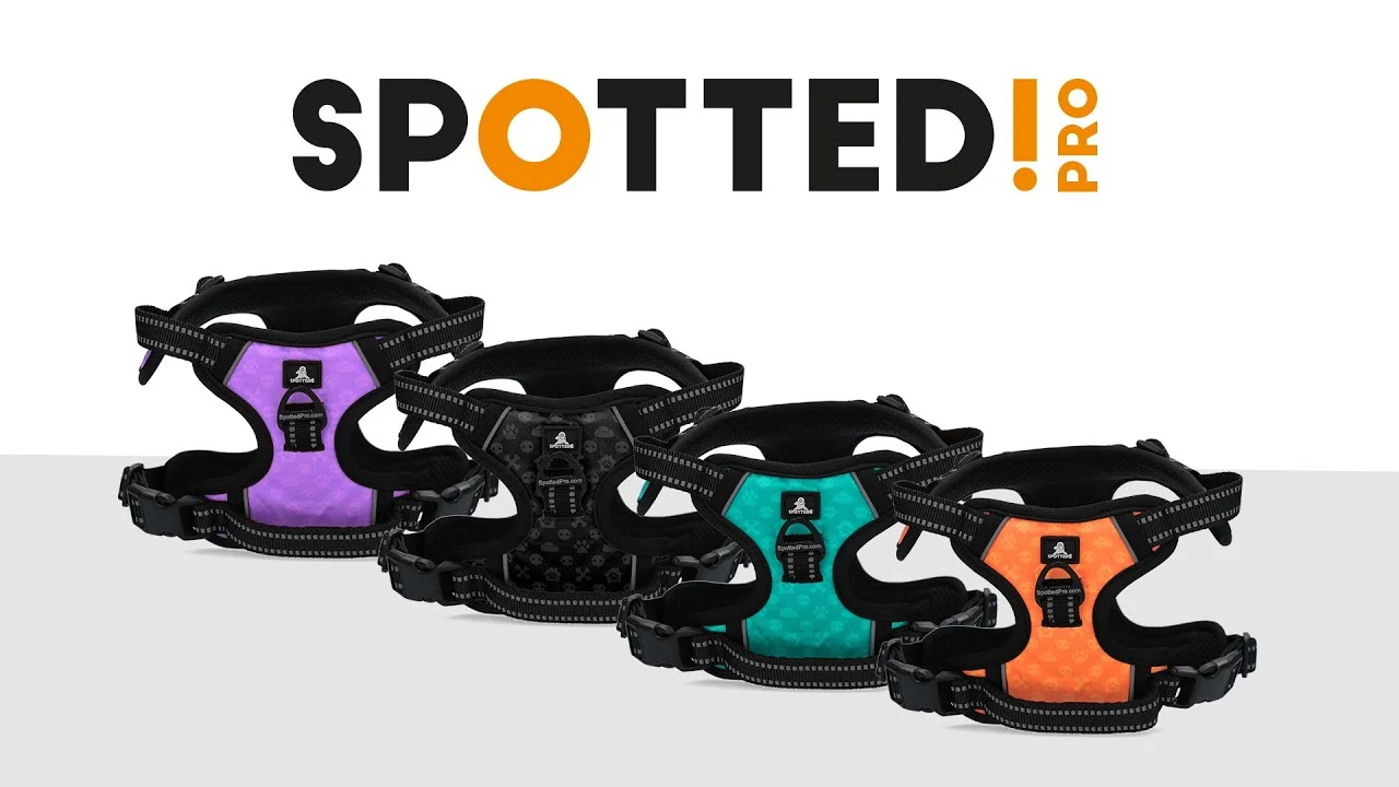 Postroj pro psa proti tahání s madlem, zelený, L – Spotted! Pro No Pull - Obrázek 2