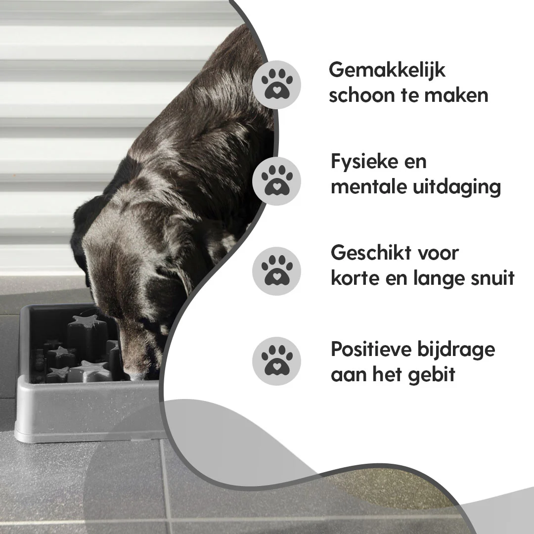 Protihltací miska pro psy s hvězdicovým vzorem, XS 14 cm, šedá – Eat Slow Live Longer Star - Obrázek 4
