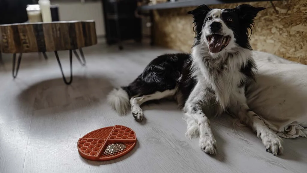 Kulatá lízací podložka s hlubokými prohlubněmi, červená, ø 21 cm – Eat Slow Live Longer Lick Mat Dimensions Circle - Obrázek 5