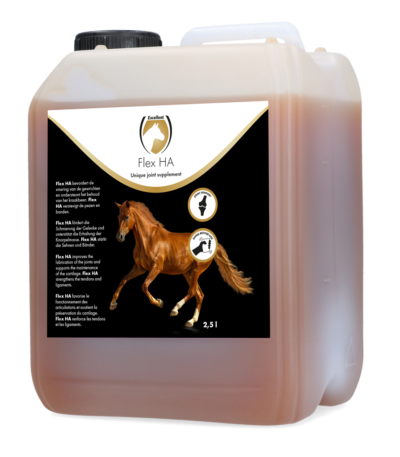Kloubní doplněk pro koně s glukosaminem a MSM, 2,5 l – Excellent Horse Flex HA