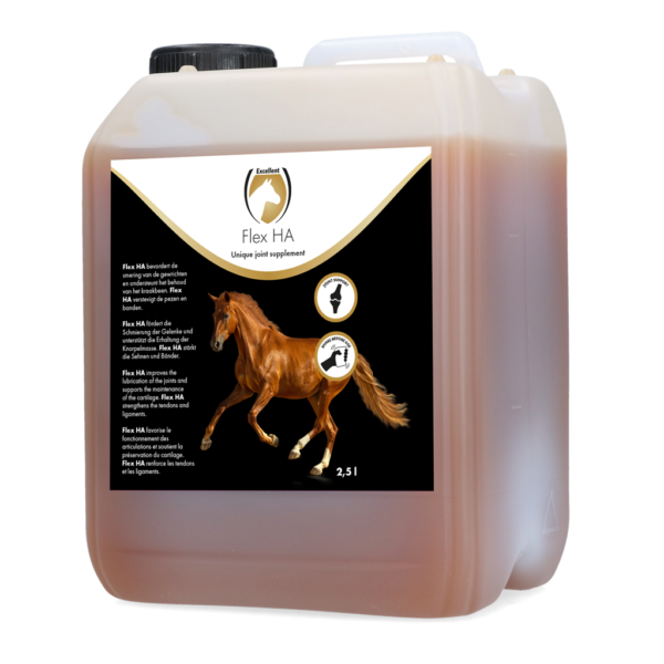 Kloubní doplněk pro koně s glukosaminem a MSM, 2,5 l – Excellent Horse Flex HA