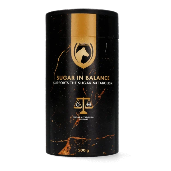 Bylinný doplněk pro koně při pastvě – Excellent Horse Sugar in Balance