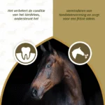 Doplněk pro péči o chrup koní se sušenou zeleninou a bylinami, 1 kg – Excellent Horse Dental Care - Obrázek 3