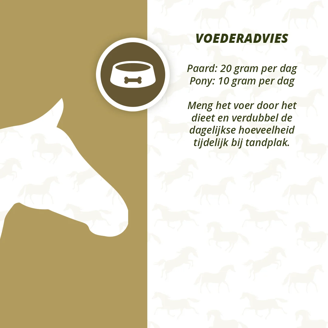 Doplněk pro péči o chrup koní se sušenou zeleninou a bylinami, 1 kg – Excellent Horse Dental Care - Obrázek 4