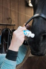 Houbička na neutralizaci pachu koní s éterickými oleji, 75 ml – Excellent Horse Odour Spons-On - Obrázek 4