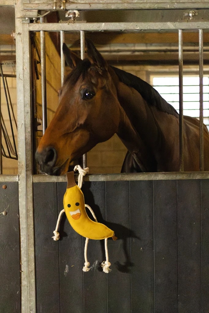 Koňská hračka do stáje z kůže s jutovou výplní, banán, 40 x 12 x 5 cm – Excellent Horse Foodie Friends Banana - Obrázek 3